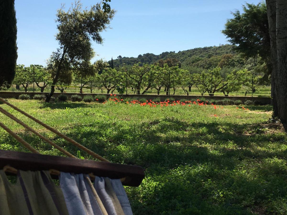 Le Chene Et L'Eau Bed & Breakfast Roquebrune-sur Argens Bagian luar foto
