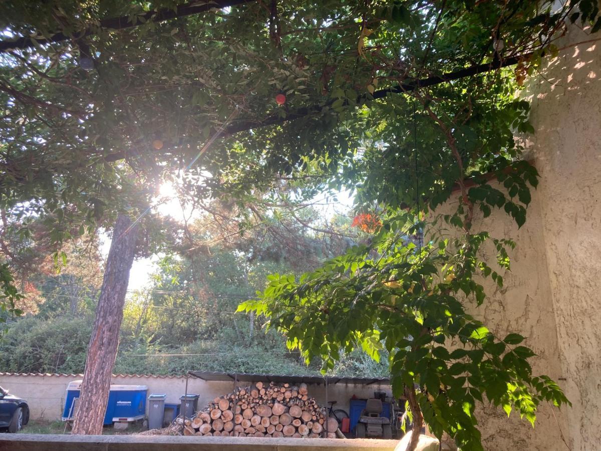 Le Chene Et L'Eau Bed & Breakfast Roquebrune-sur Argens Bagian luar foto