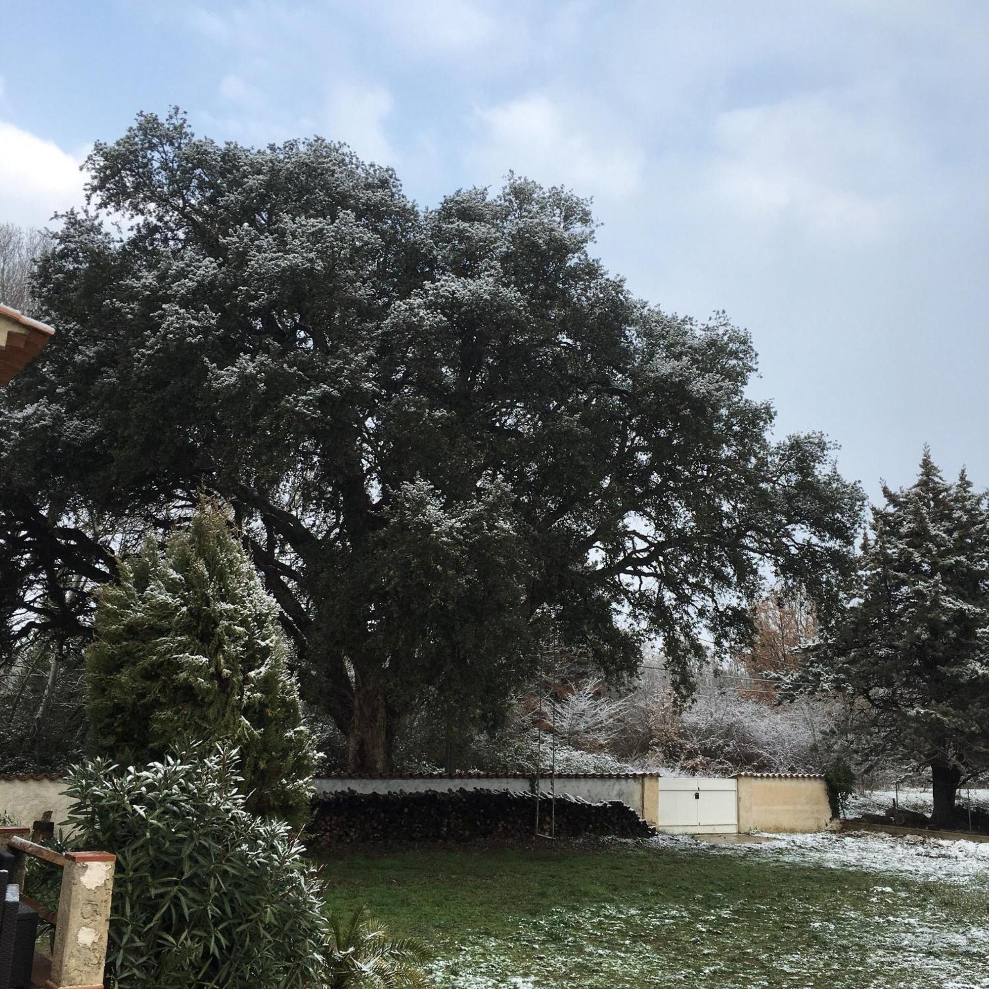 Le Chene Et L'Eau Bed & Breakfast Roquebrune-sur Argens Bagian luar foto